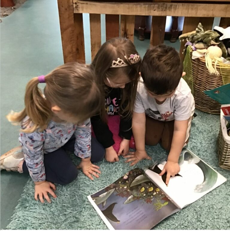 Friday 6th February 2026